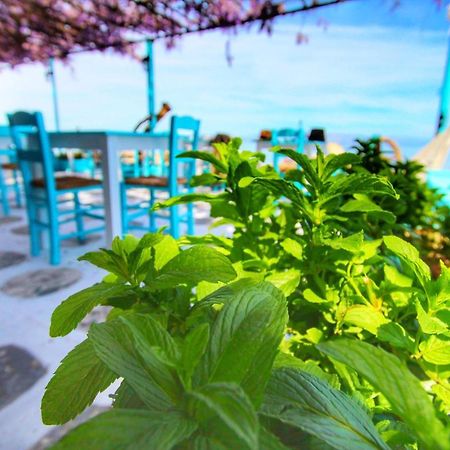 Benitsa Beach Hotel Achílleion المظهر الخارجي الصورة