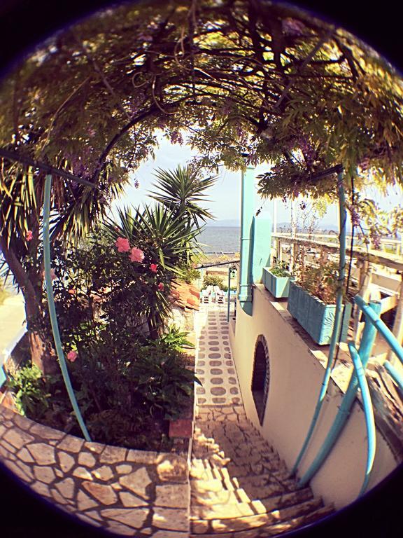 Benitsa Beach Hotel Achílleion المظهر الخارجي الصورة